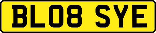 BL08SYE