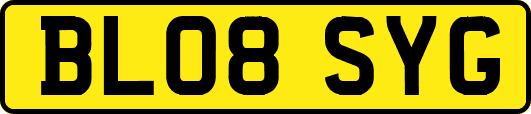 BL08SYG