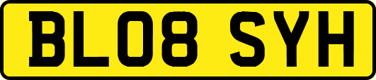 BL08SYH
