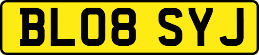 BL08SYJ