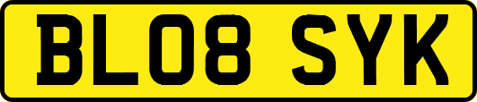 BL08SYK