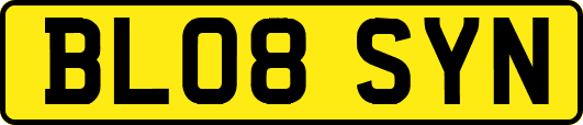 BL08SYN