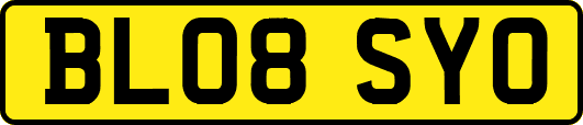 BL08SYO