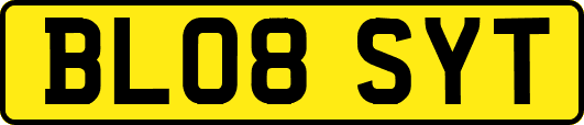 BL08SYT