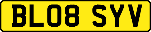 BL08SYV