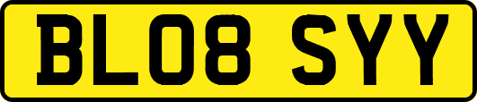 BL08SYY