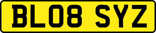 BL08SYZ