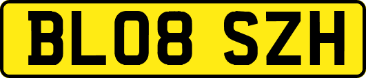 BL08SZH