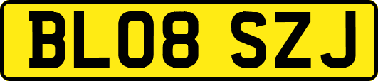 BL08SZJ
