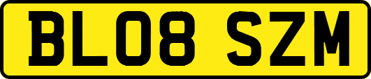 BL08SZM