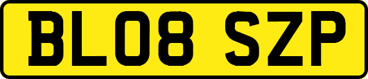 BL08SZP