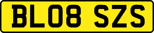 BL08SZS