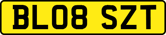 BL08SZT
