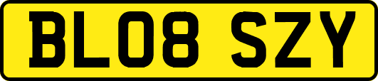 BL08SZY
