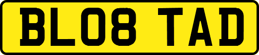 BL08TAD