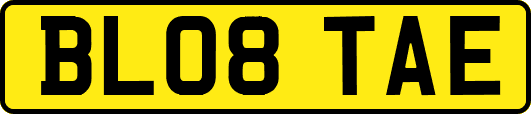 BL08TAE