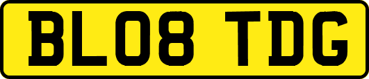BL08TDG