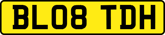 BL08TDH