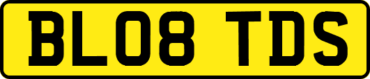 BL08TDS