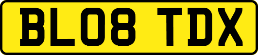 BL08TDX