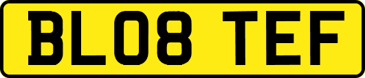 BL08TEF