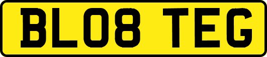 BL08TEG