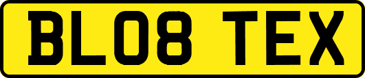BL08TEX