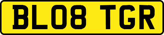 BL08TGR