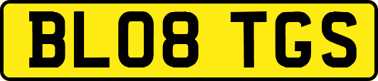 BL08TGS