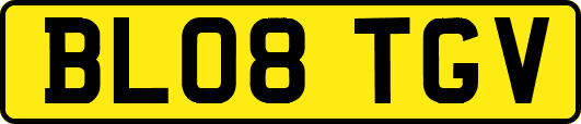 BL08TGV