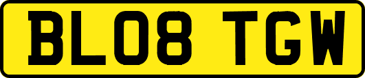 BL08TGW
