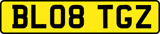 BL08TGZ
