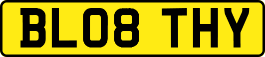 BL08THY