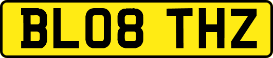 BL08THZ