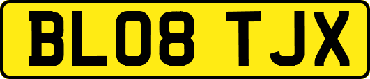BL08TJX