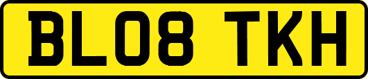 BL08TKH