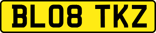 BL08TKZ