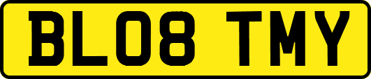 BL08TMY