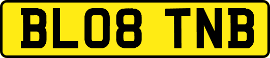 BL08TNB
