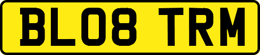 BL08TRM
