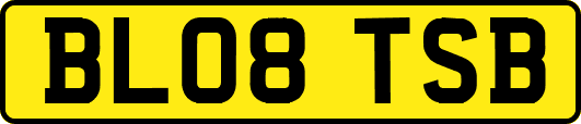 BL08TSB