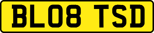 BL08TSD