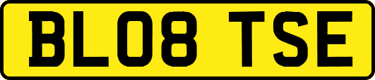 BL08TSE