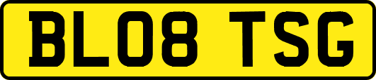 BL08TSG
