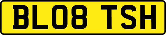 BL08TSH