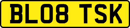 BL08TSK
