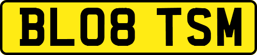 BL08TSM