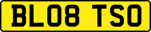 BL08TSO