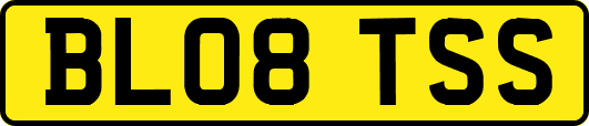 BL08TSS