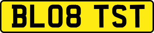 BL08TST